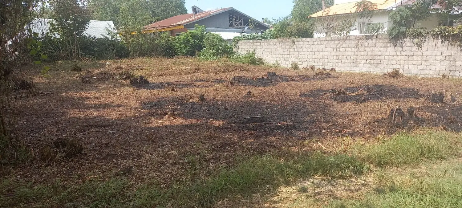 زمین ۲۵۰ متر مربع سند تک برگ مسکونی روستای شیجان