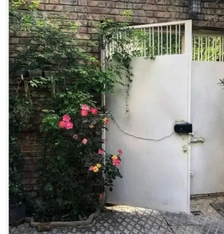 همخونه خانم