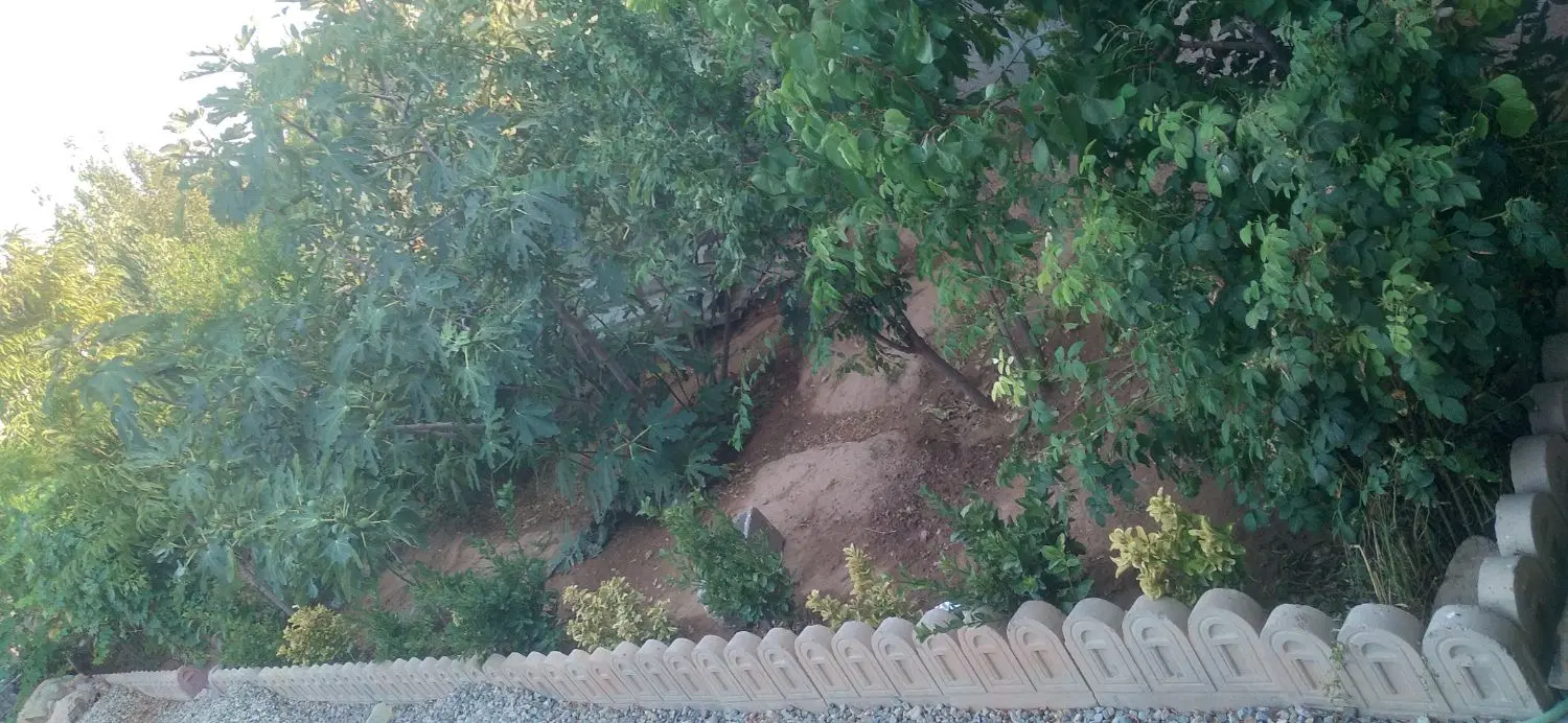 باغچه دارای اتاق ۵۰ متری