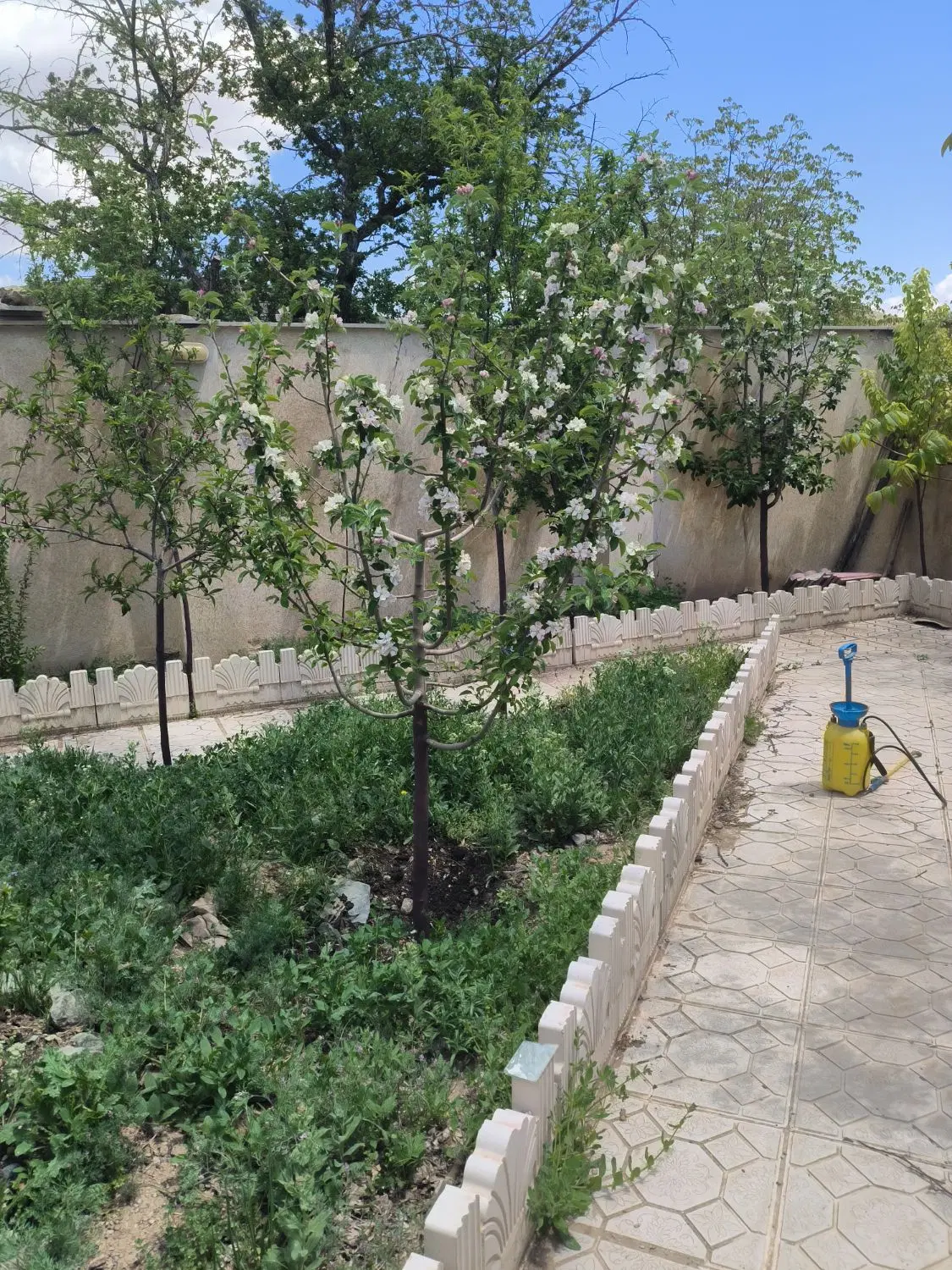 ویلا دوبلکس درمنطقه ابسرد.لومان