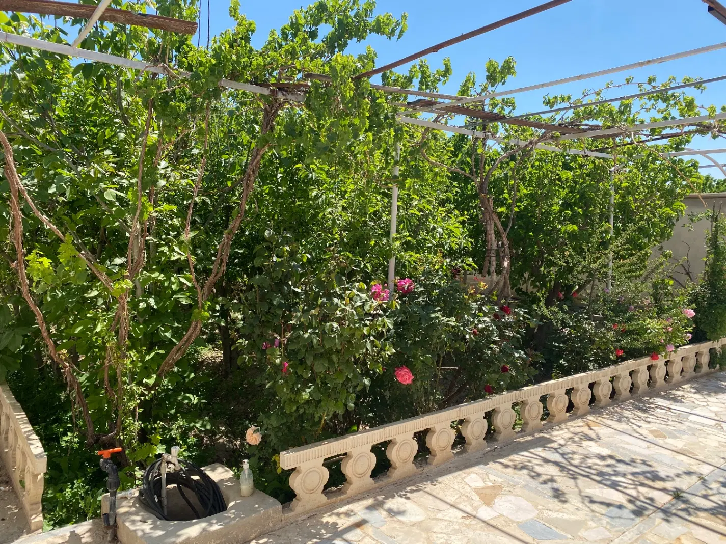 باغچه شهرکی دوکله با نگهبان ۲۴ساعت