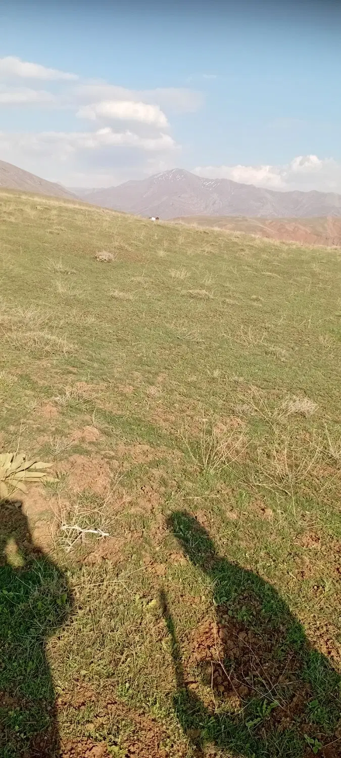 فروش ملک