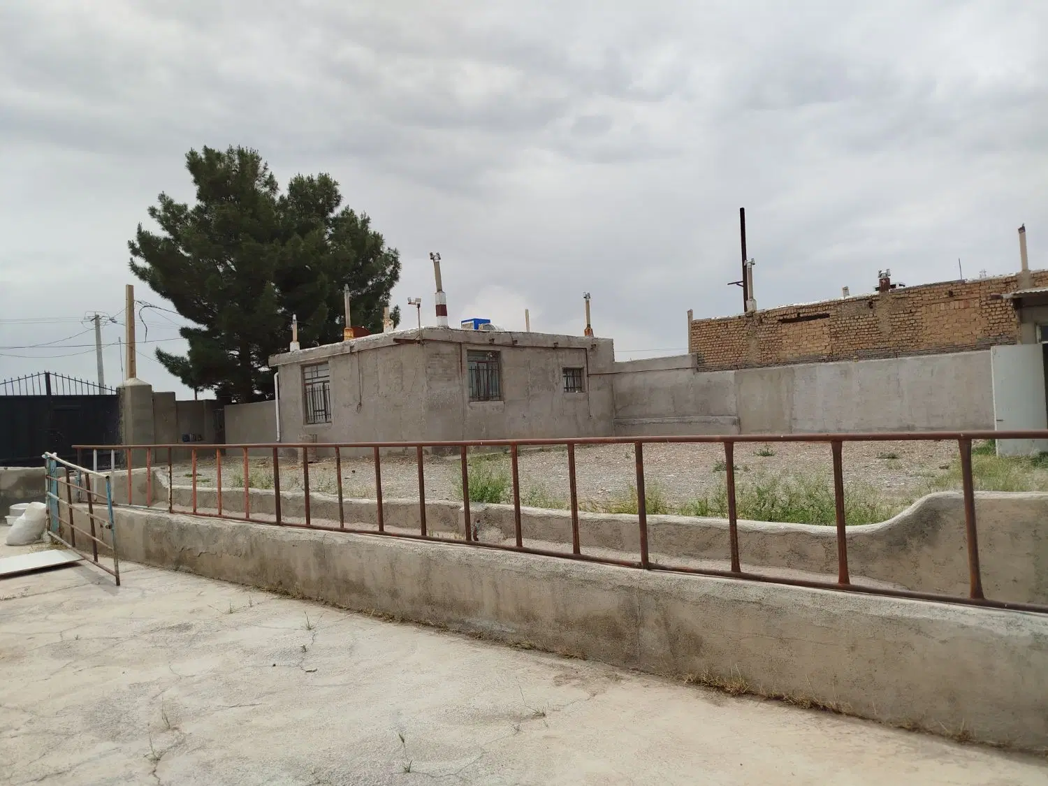 دامداری