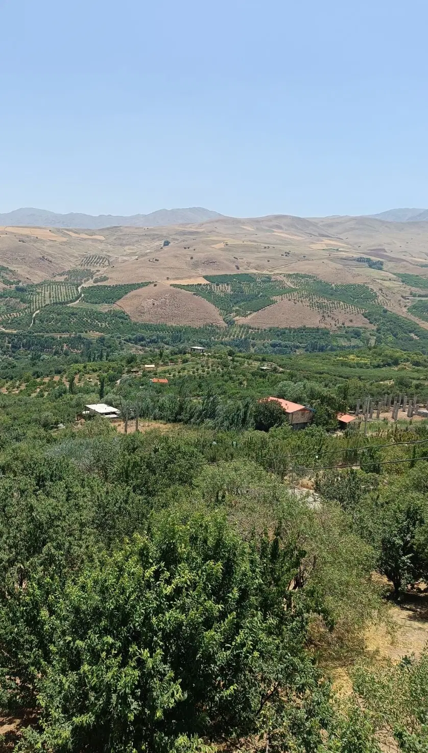 250متر باغچه تفریحی