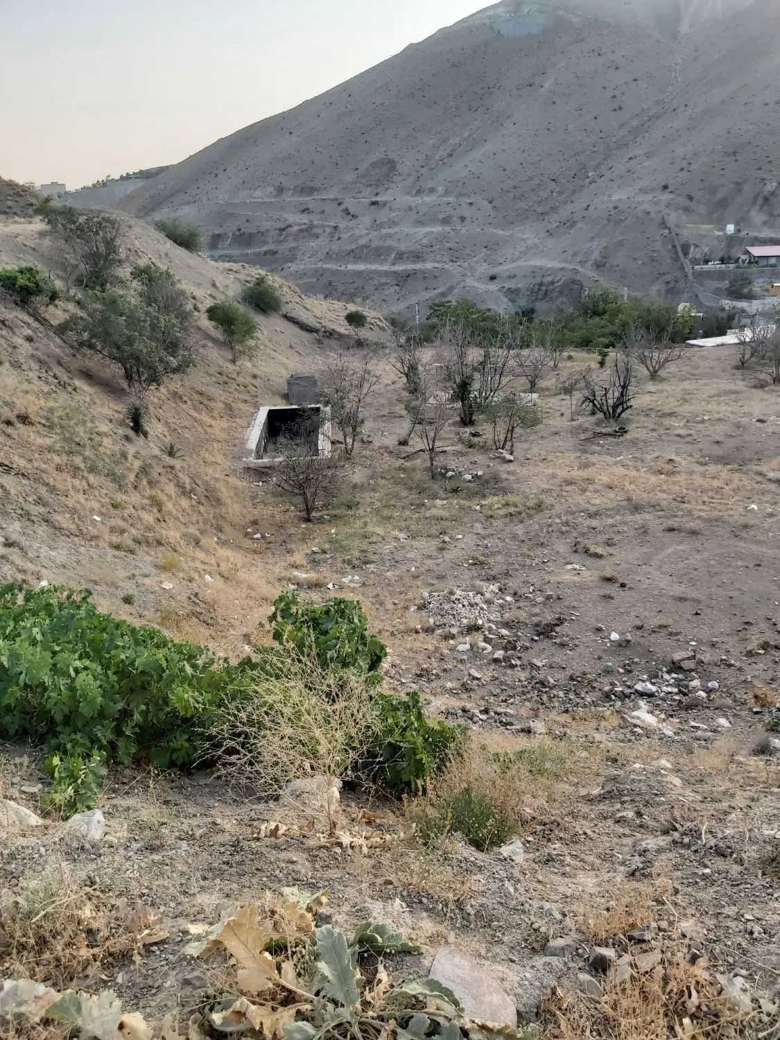 فروش ۶۵۰۰ متر زمین