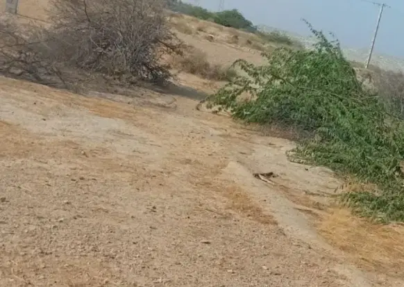 فروش زمین شهرکی روستای برتمب