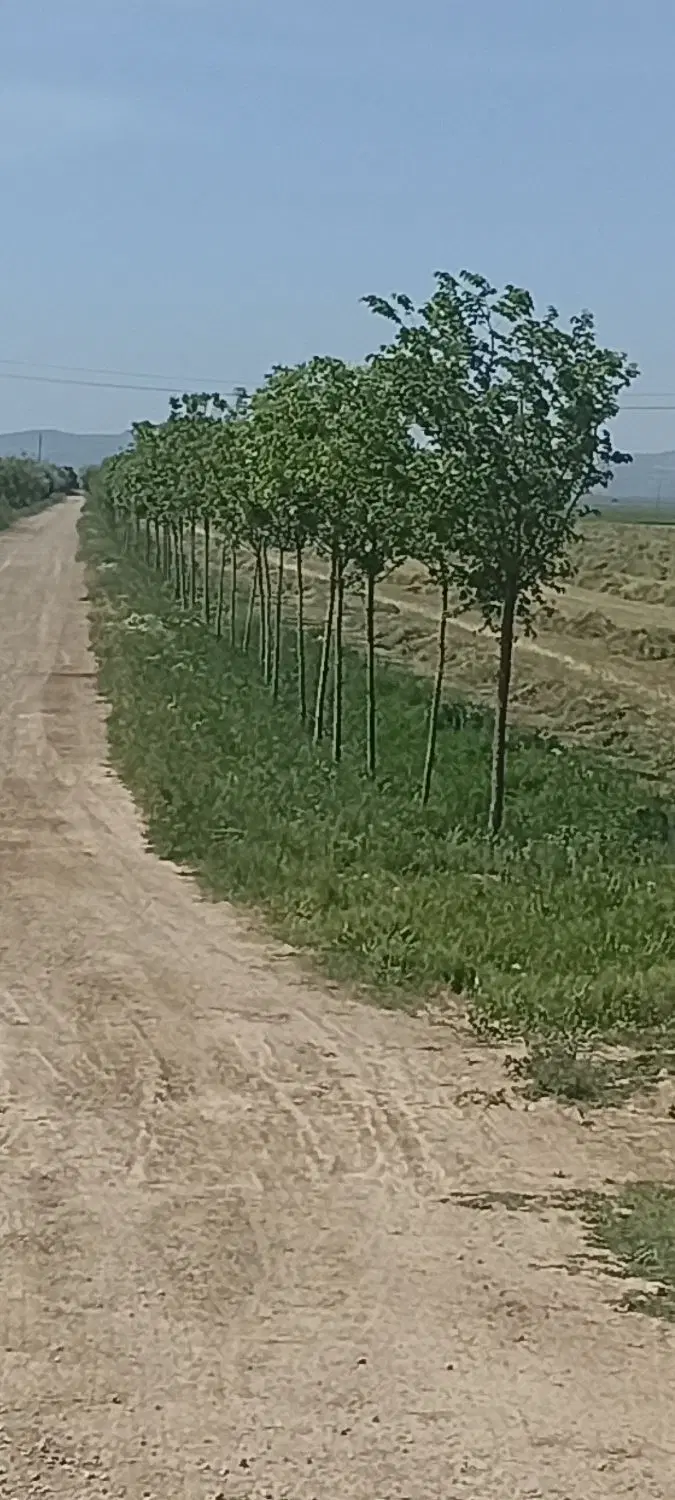 فروش زمینهای صنعتی