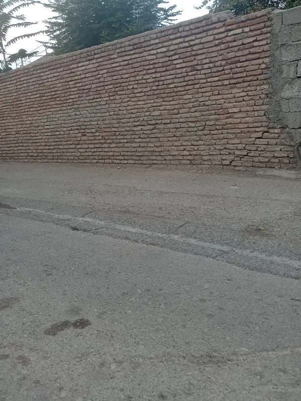 اجاره بهار خواب یا پیلوت