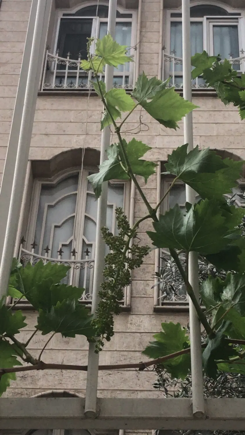 فروش آپارتمان کلیددست اول غرق نور.پاسداران تهرانسر