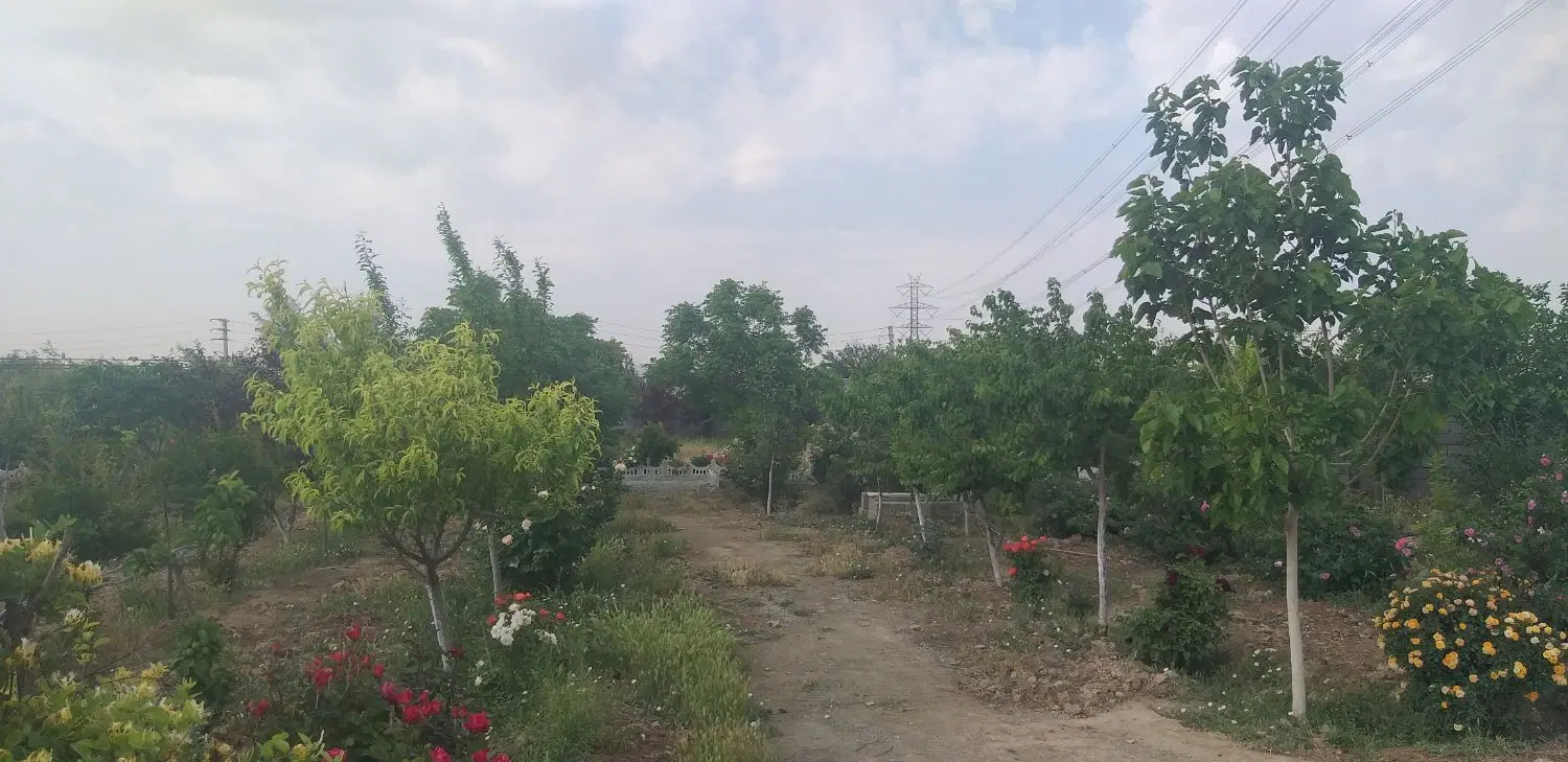 فروش باغ ۴ دیواری ۵۰۰ متر تا ۱۰۰۰ متر اسلامشهر