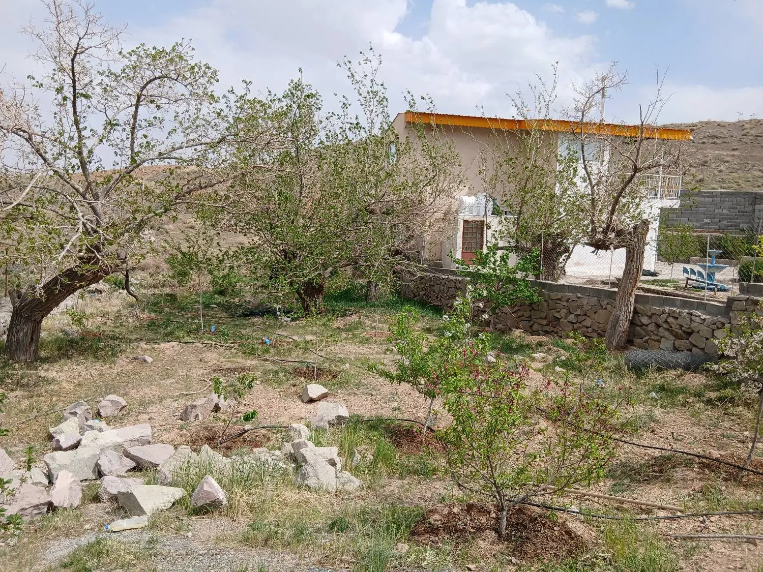 باغ در روستای سورگ