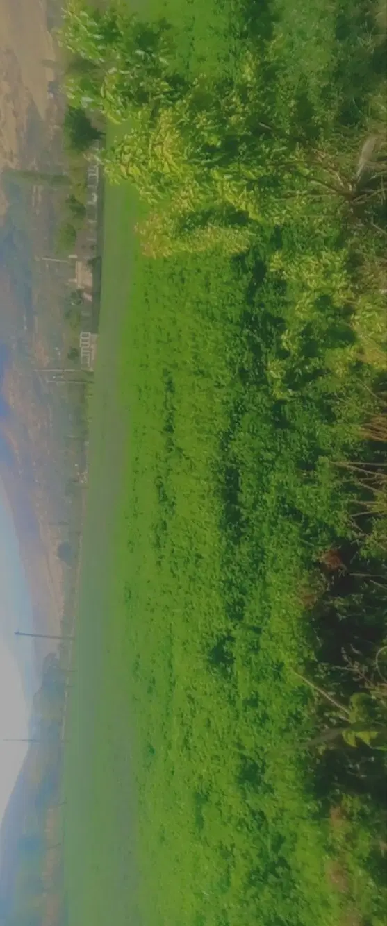 زمین کشاورزی