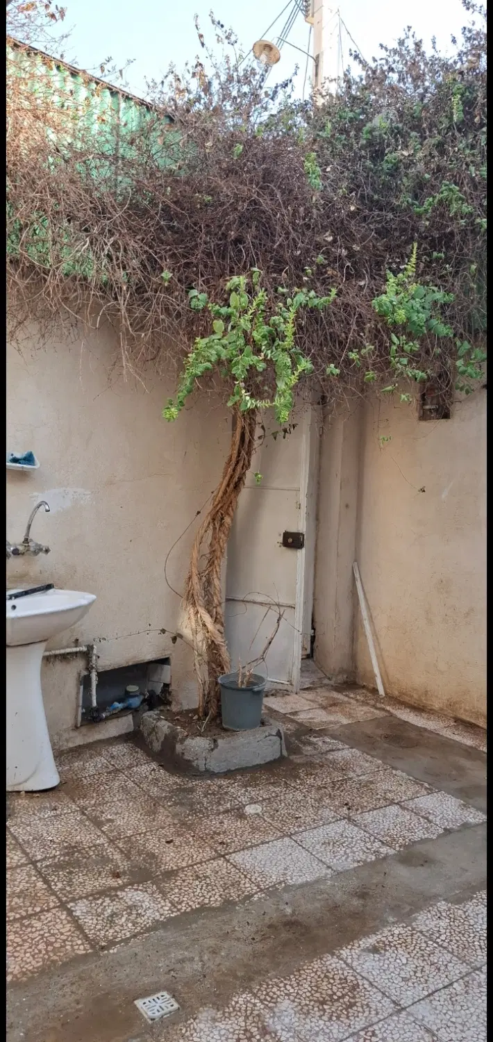 قروش ملک کلنگی