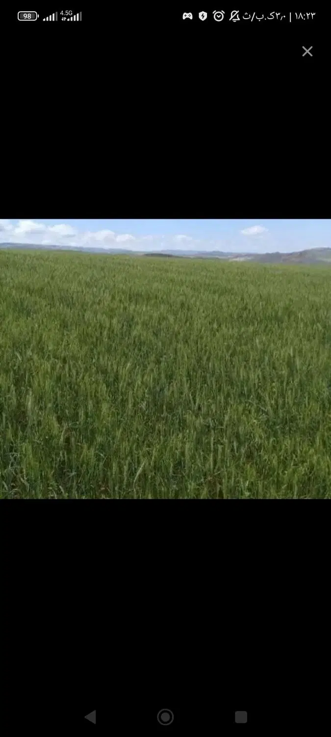 زمین کشاورزی دیم
