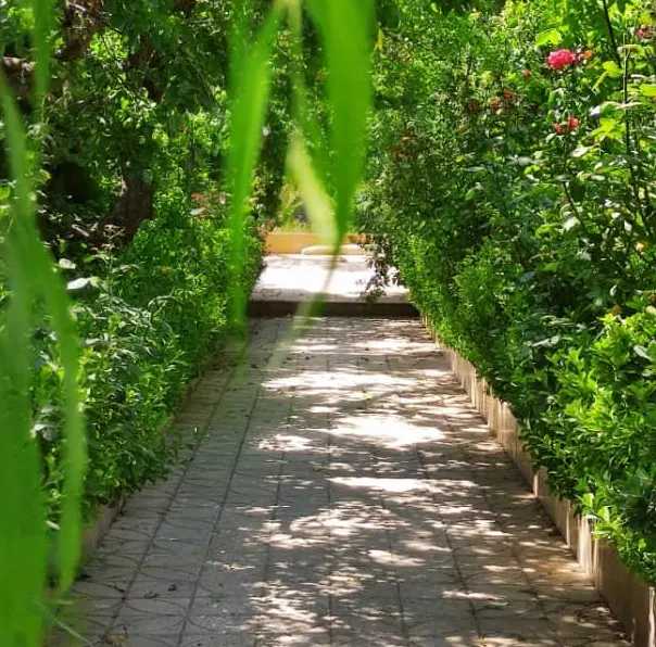 ۳۰۰متر باغچه ویلا سند تک