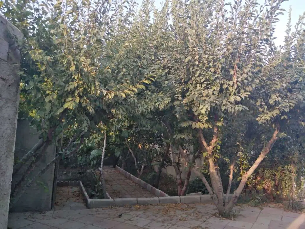 باغچه ۷۵۰ متر در پل کردان گلسار