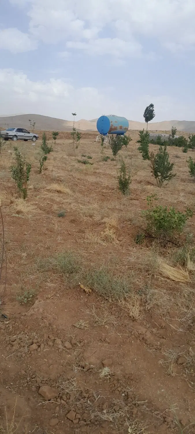 ملک