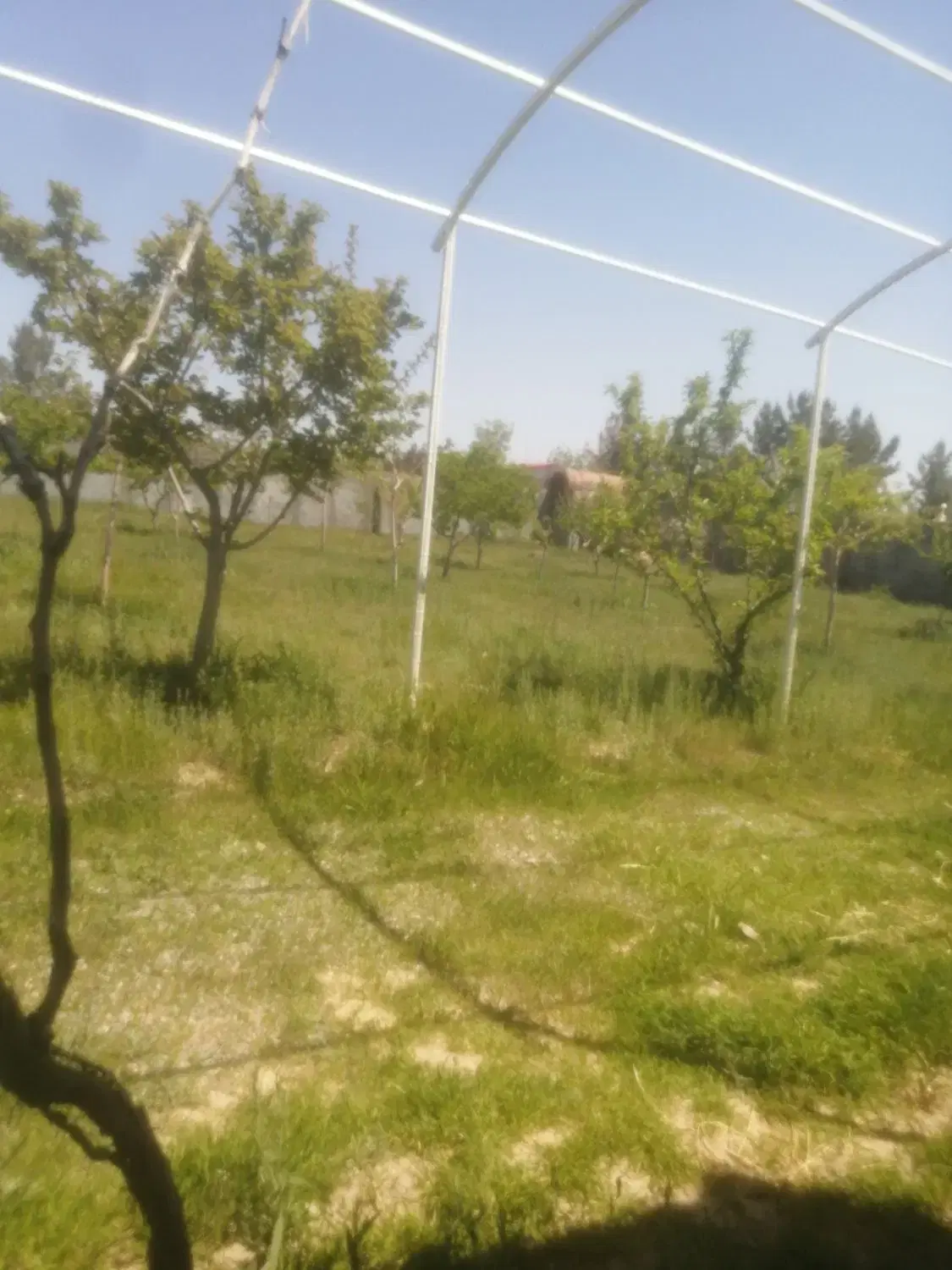 فروش باغ