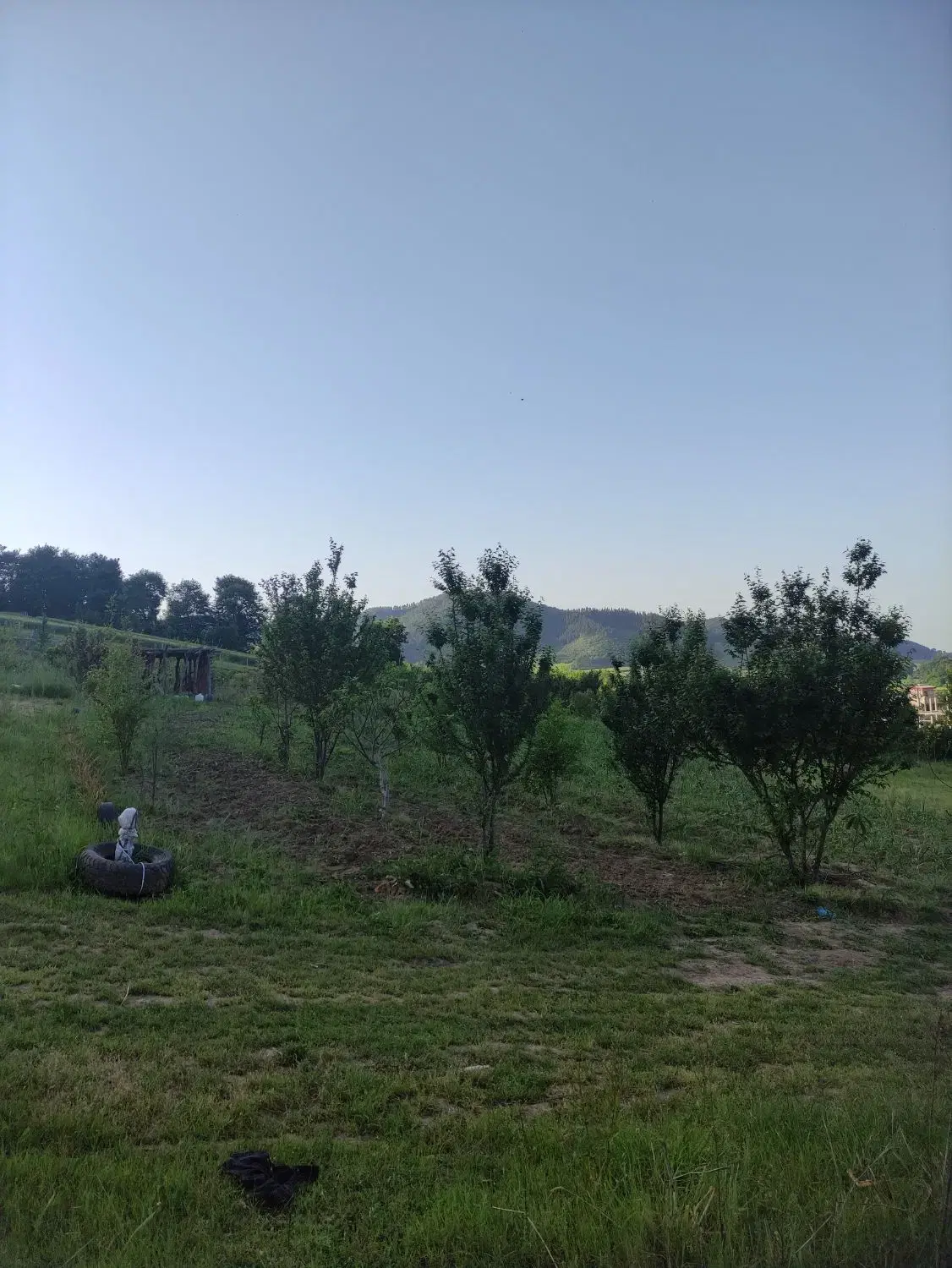فروش زمین روستای توریستی شیرآباد