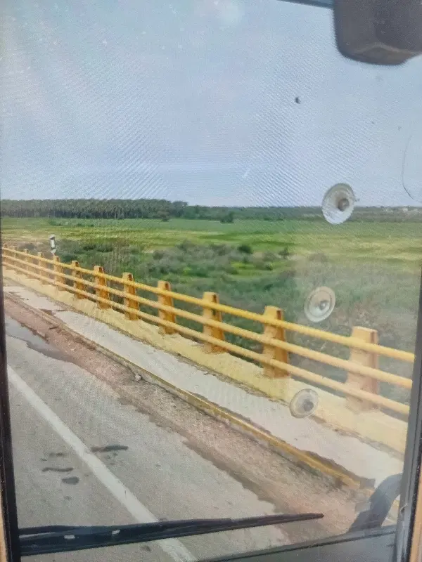 همخونه