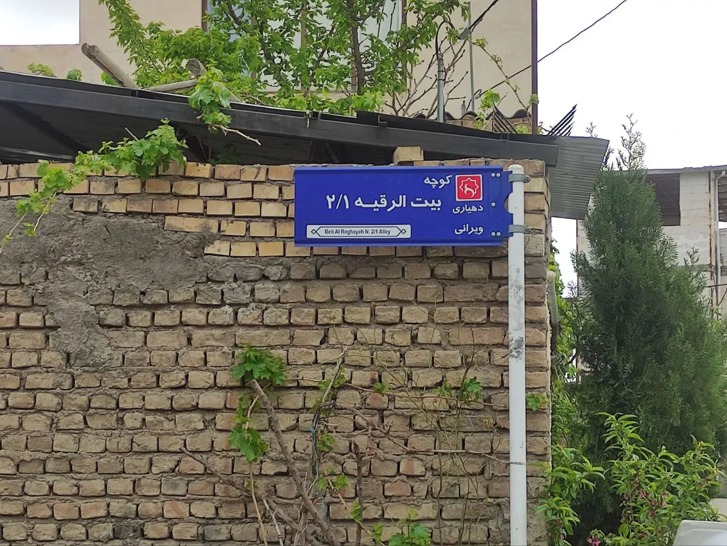 زمین ۱۵۰ متری واقع در شاندیز