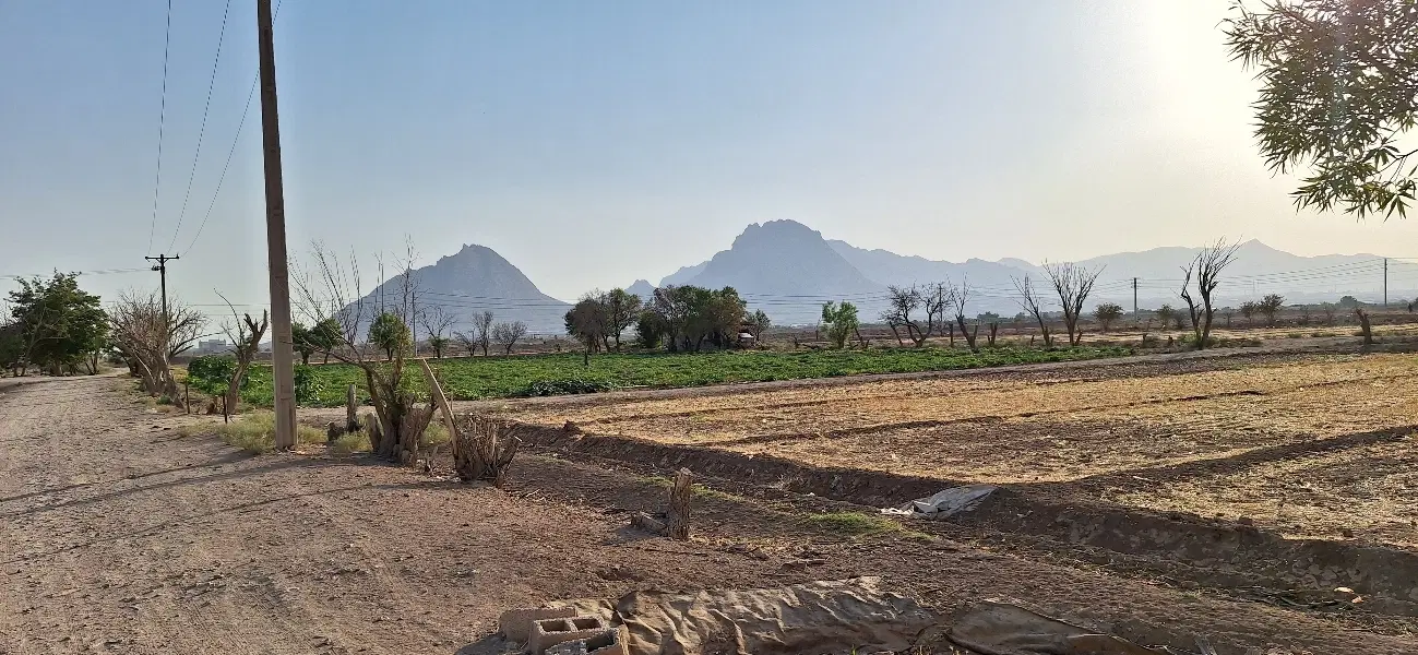 دو قطعه زمین ۵۰۰۰ متری . محدوده امین آباد