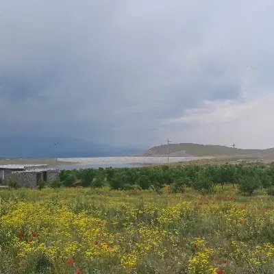 باغ نقلی بادام دیم سد بناب مرند