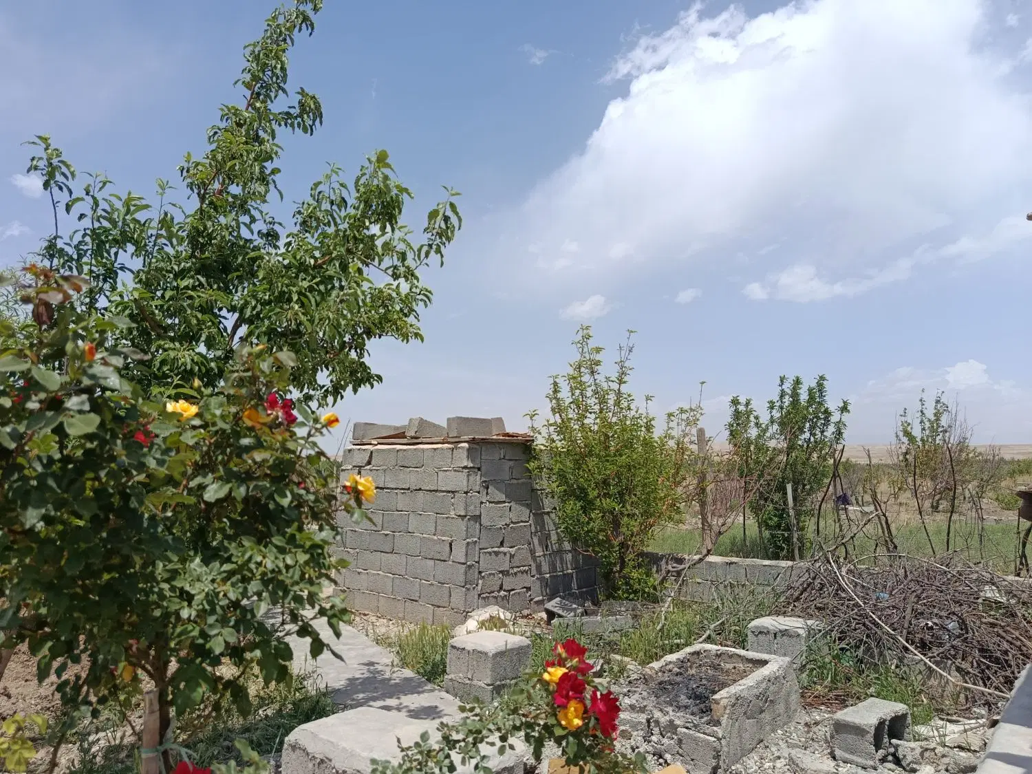 باغچه ۸۵۰ متری ماهدشت