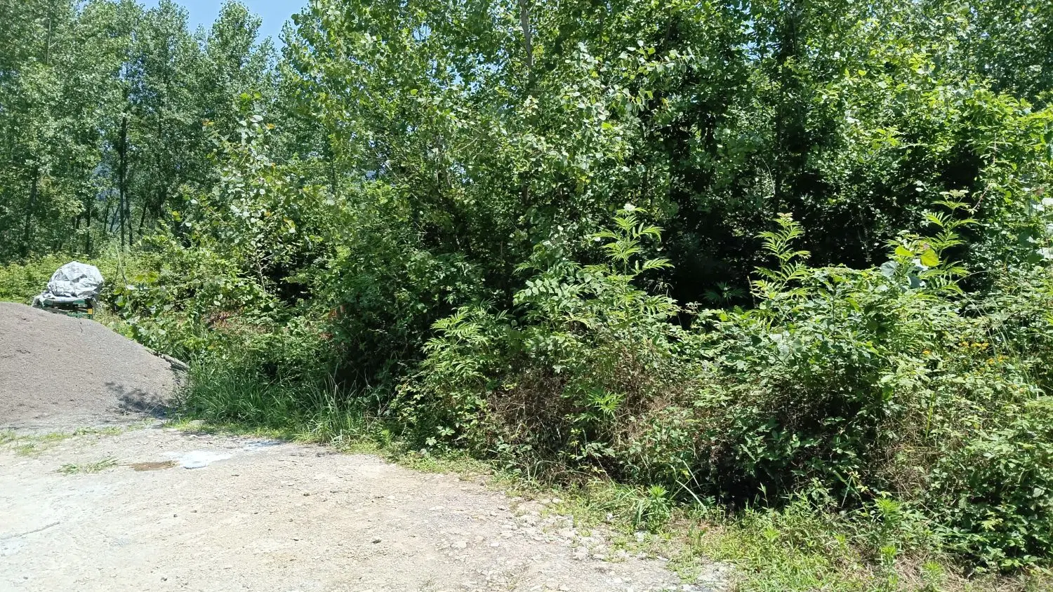 ۲۰۰۰ متر زمین مسکونی سند تک برگ