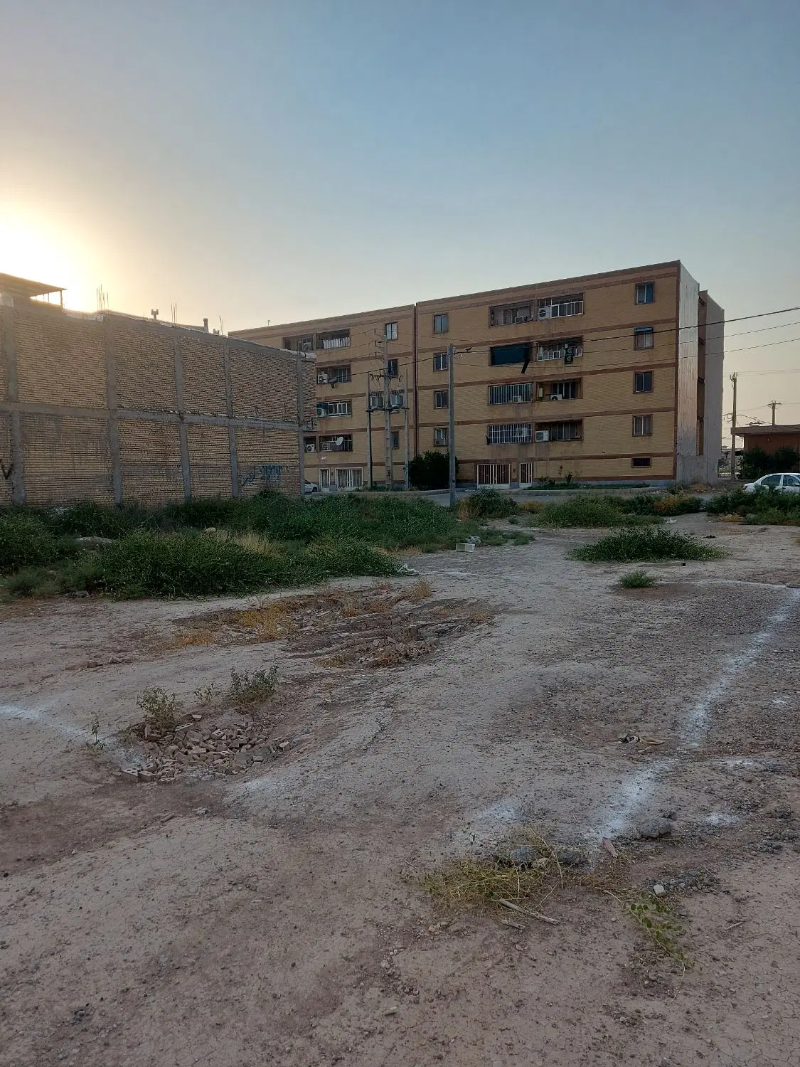 زمین کوی دانیال(گندم)