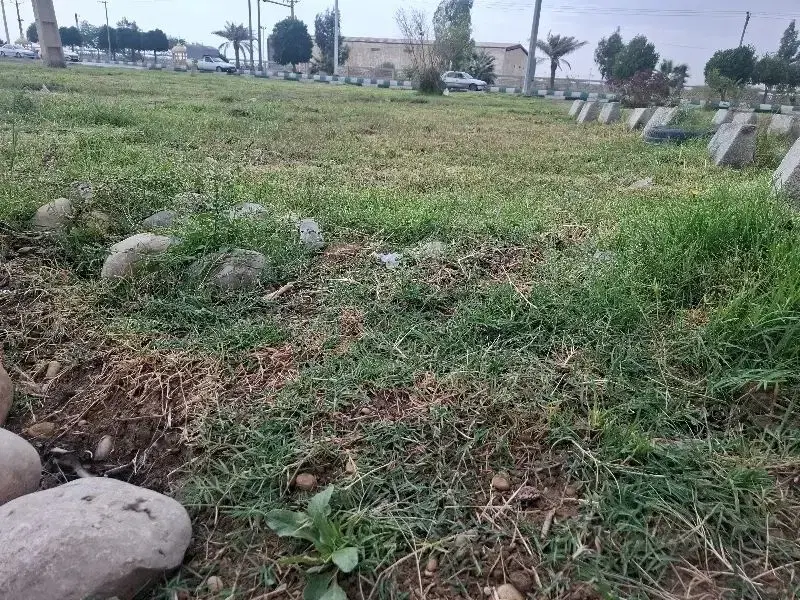 فروش زمین جزیره مینو