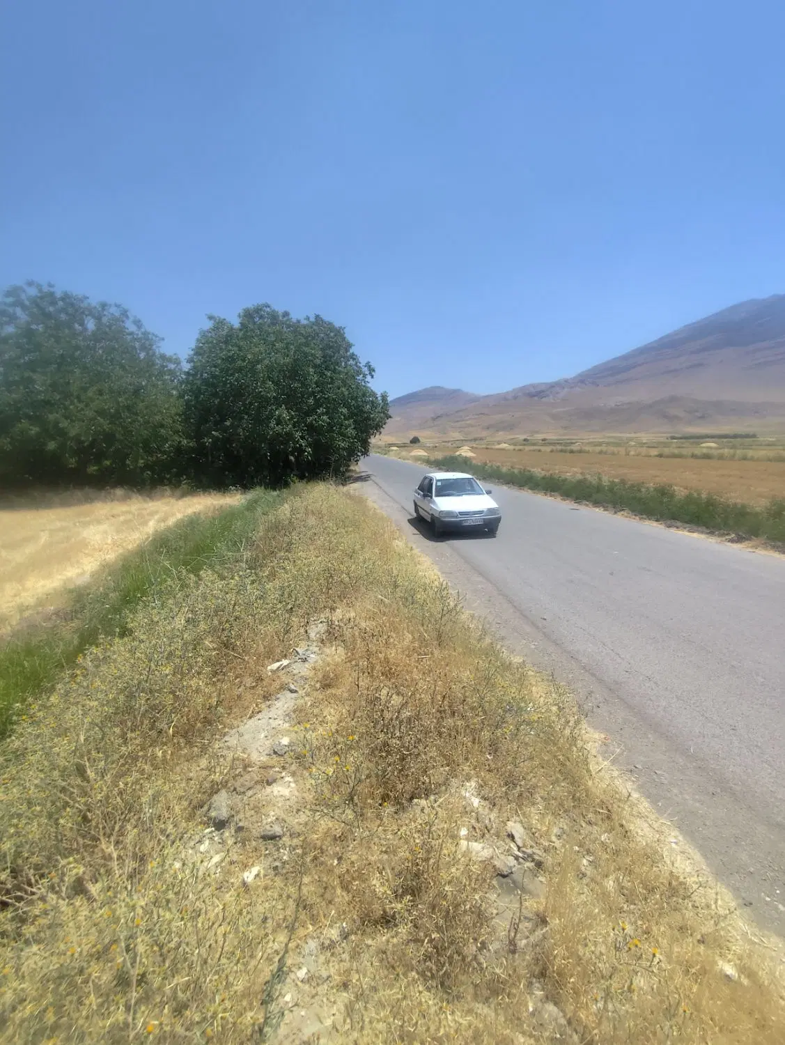 زمین آبی