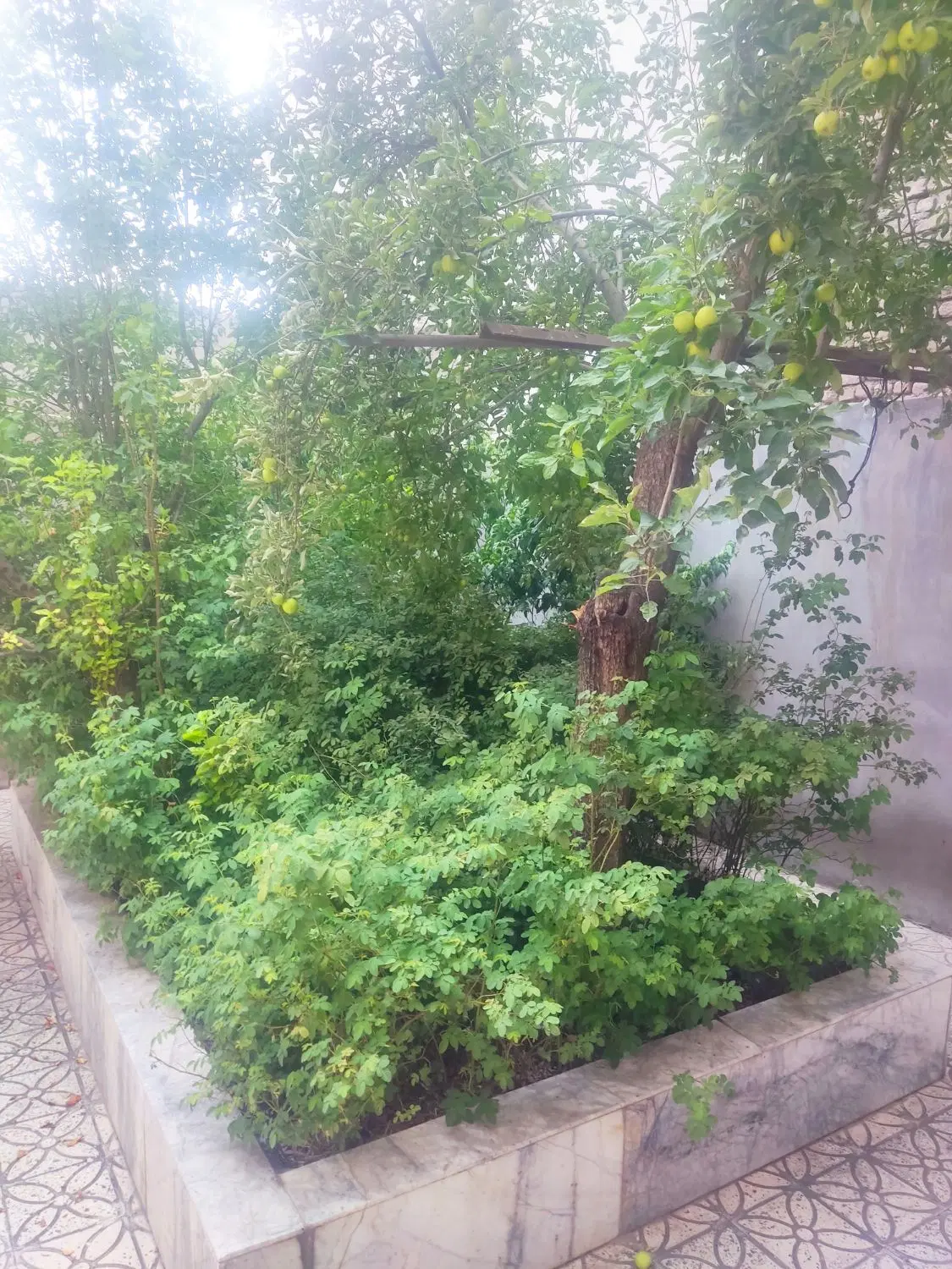 فروش آپارتمان