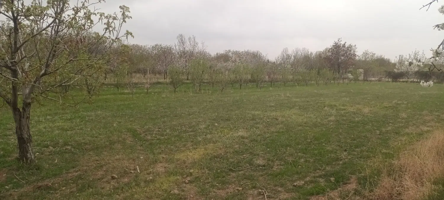 باغ بهاران اطلسی زیر کانال اب 1350 متر سند تک برگ