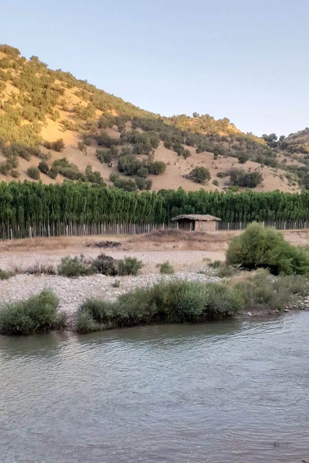 اجاره خانه در پشت بازار کمربندی خ اردشیر کرمی