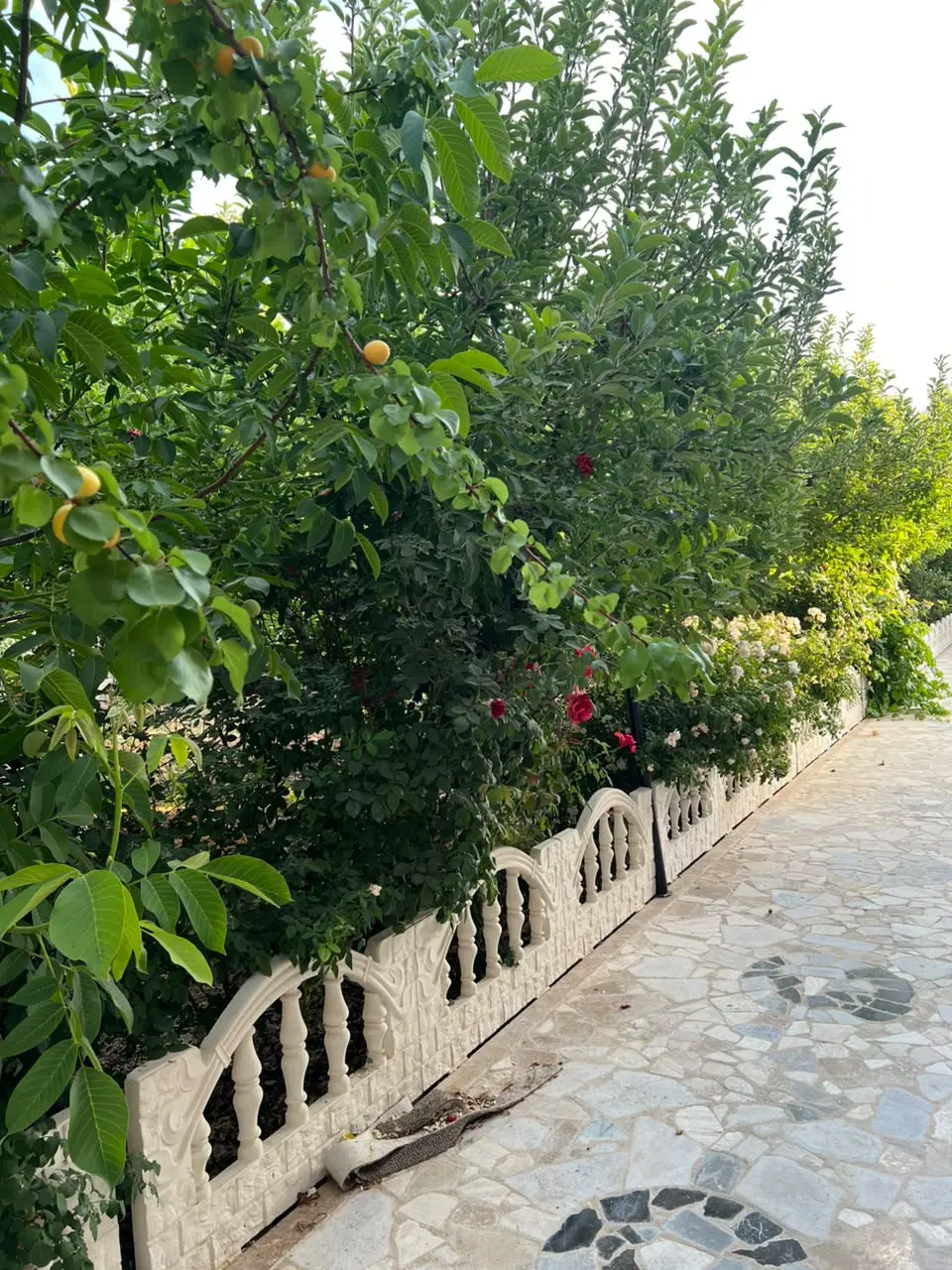 باغ کوهمره سرخی مجموعه فاطیما