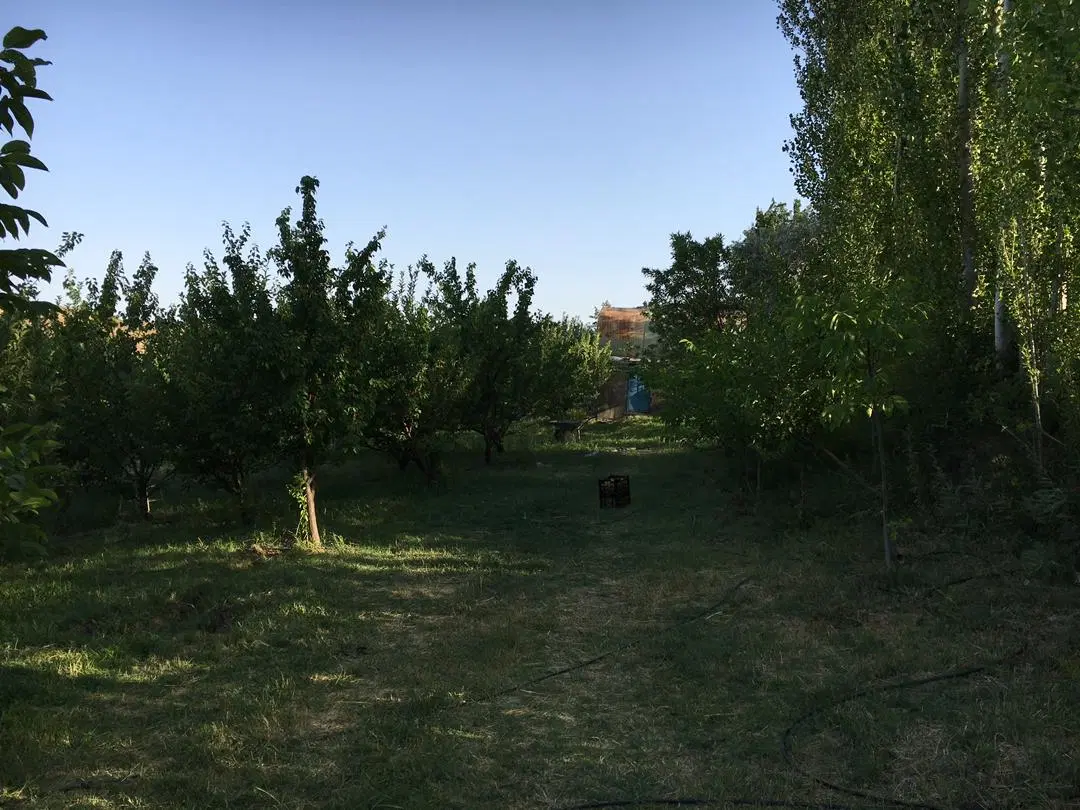 باغ میوه سرسبز و دنج با چشمه اختصاصی و سند تک برگ