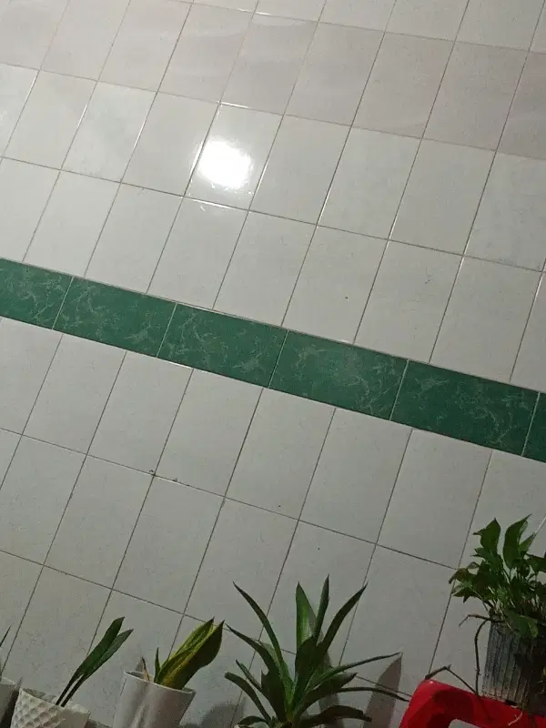 خانه