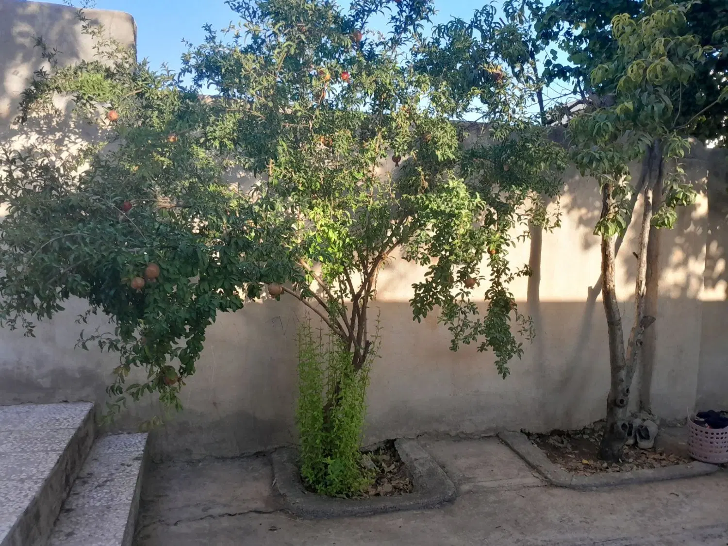 اجاره خانه ویلایی