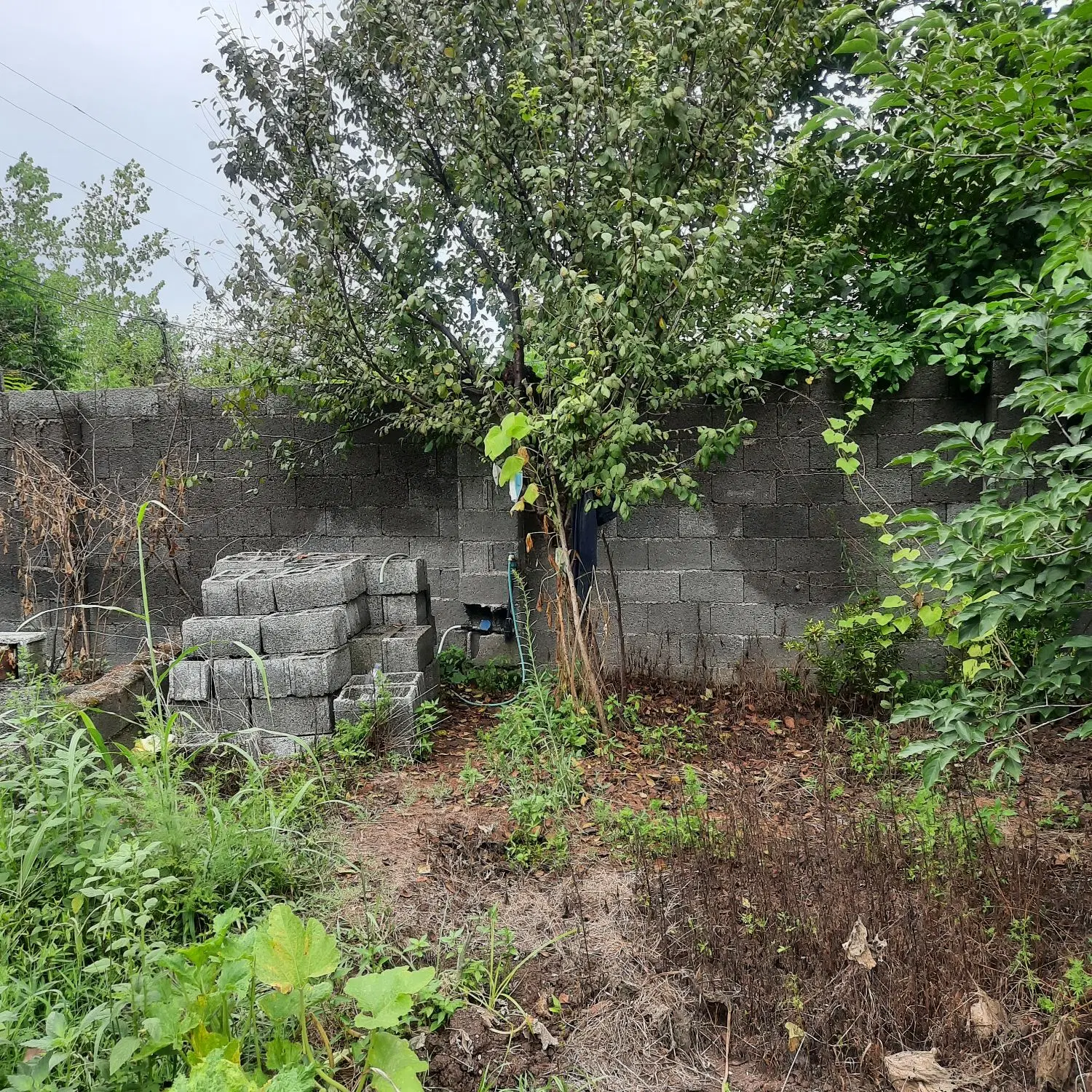 زمین مسکونی درچوکام روستای جیره سر