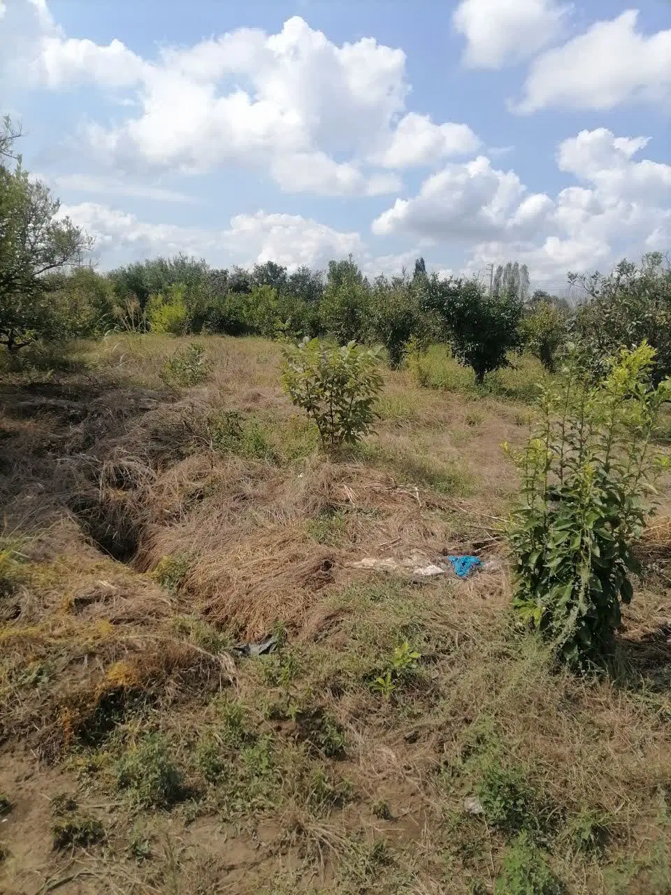 فروش زمین