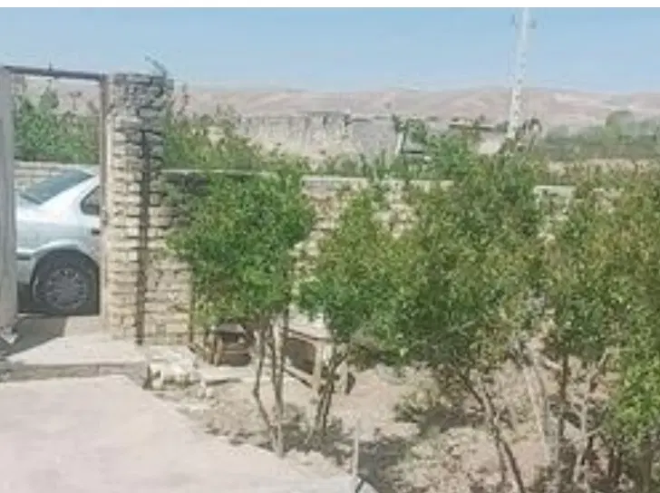 زمین ساختی دیزیچه