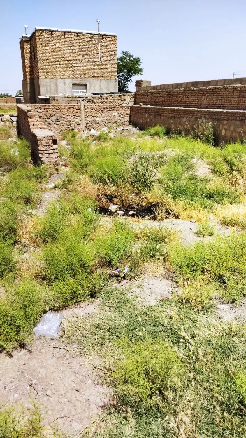 زمین