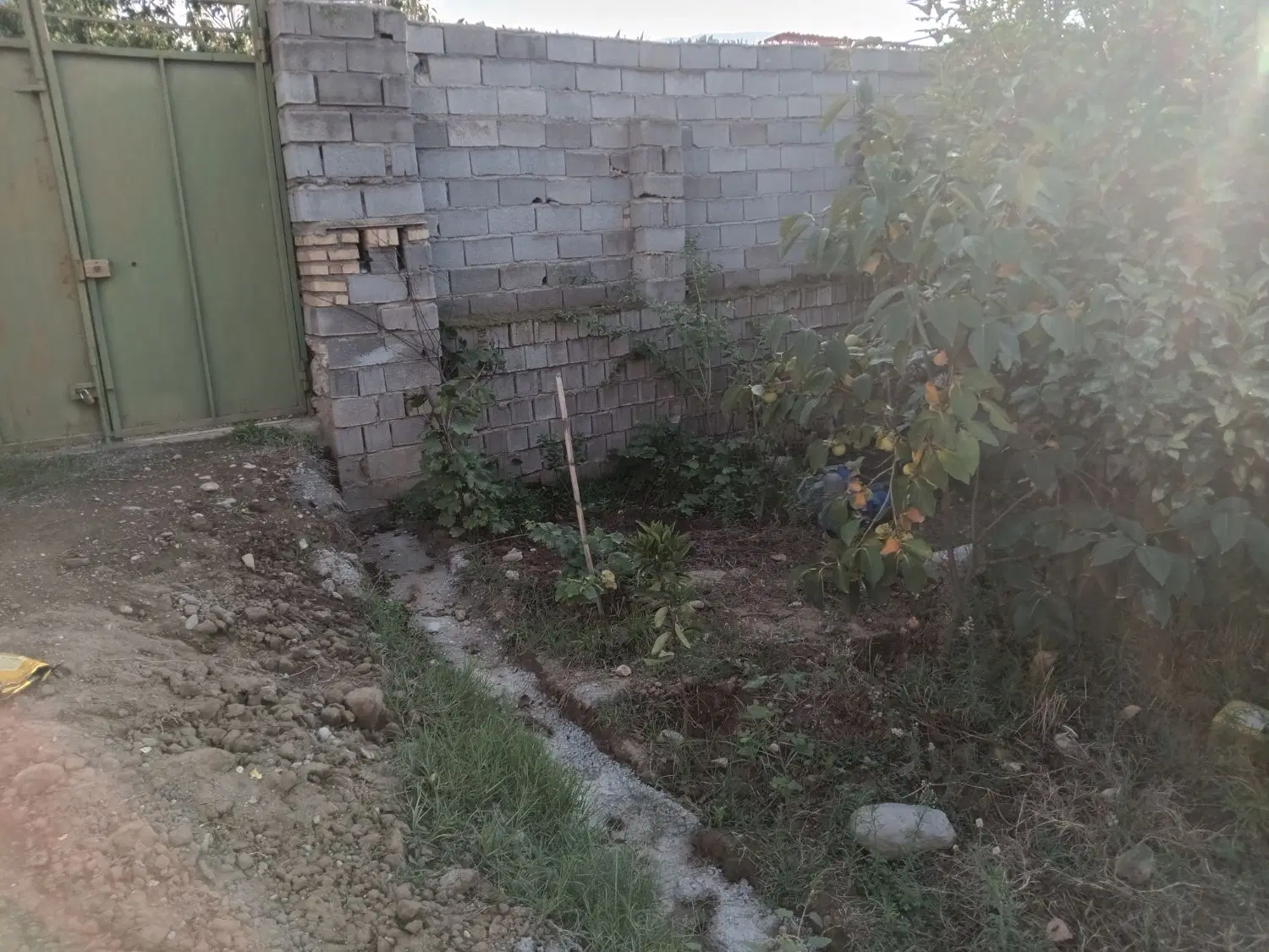 زمین مسکونی رلمیان