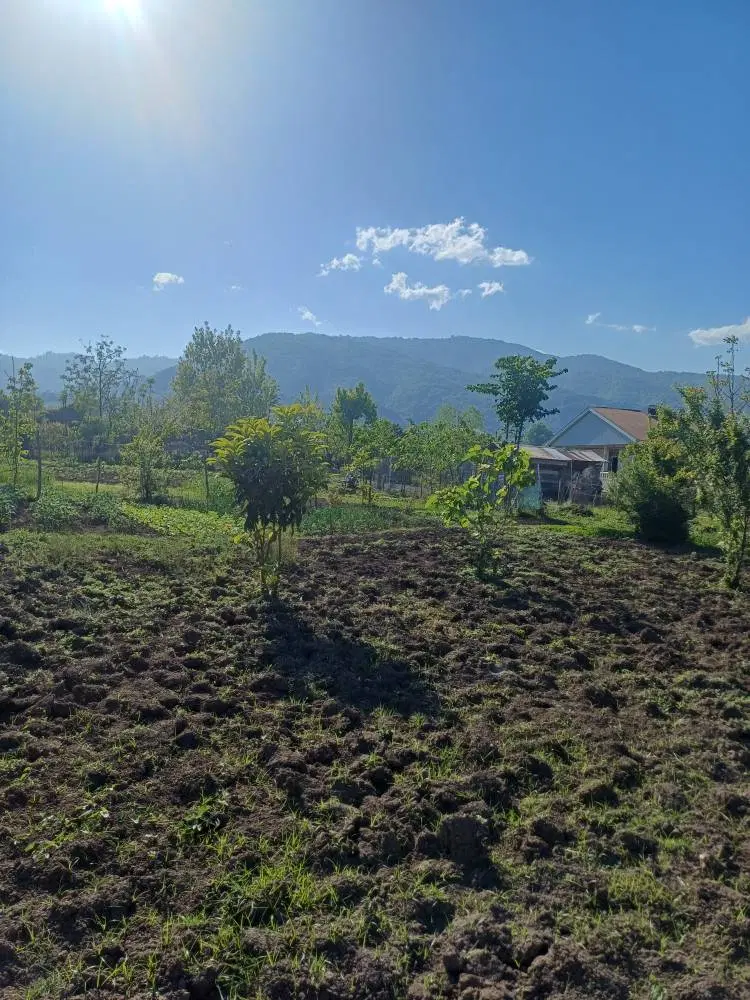 فروش زمین مسکونی روستایی