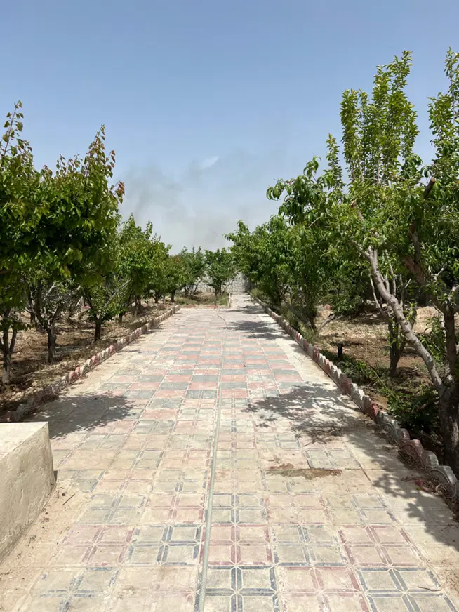 چهار دیواری