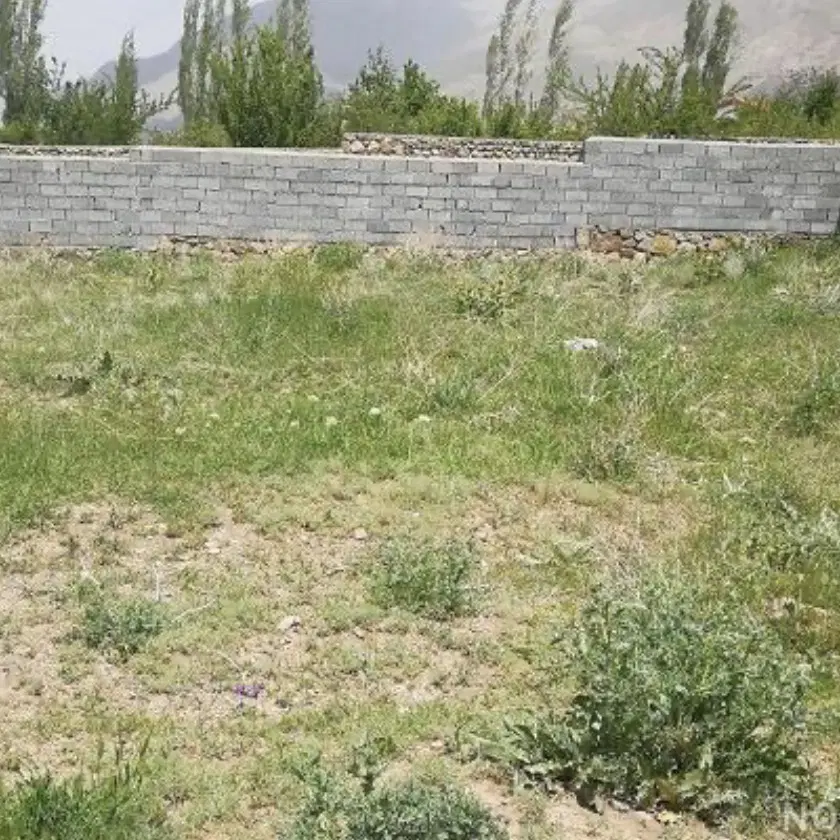زمین نه قصب بلوار فردوسی حاجی اباد