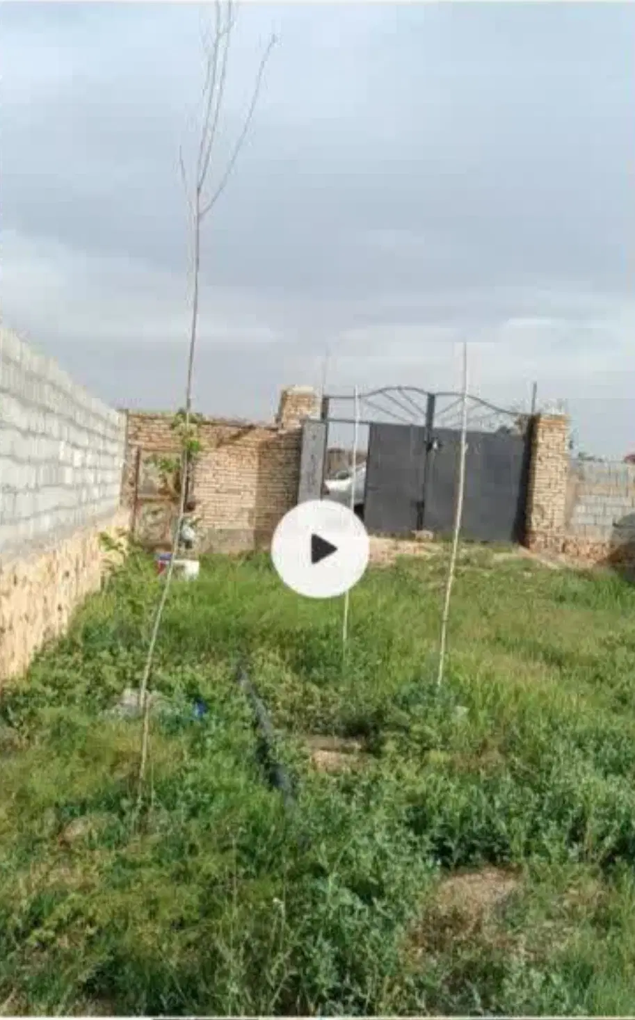باغ ۵۰۰متری