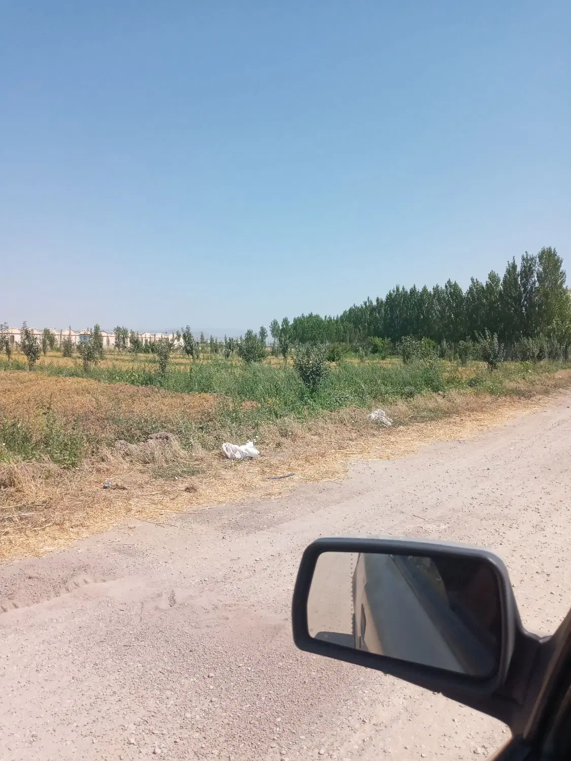 باغ در جاده اصلی گرجان