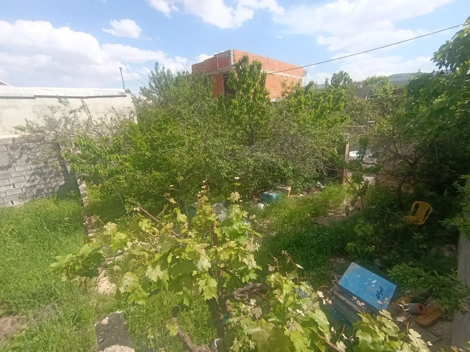 حیاط مسکونی واقع در روستای گلی جاده قدیم